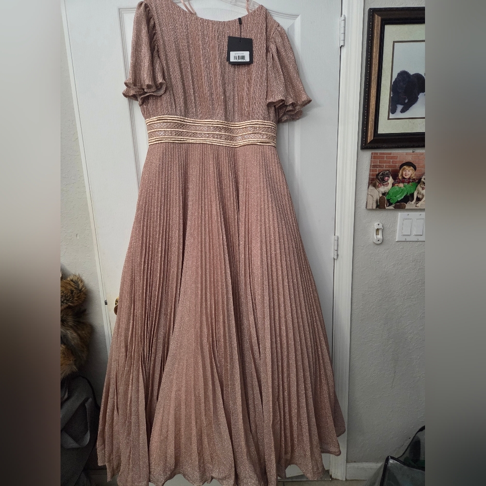 NWT Ieena for Mac Duggal Pink Pleated Shimmering Flutter Sleeve Gown SZ 14 - Picture 3 of 15